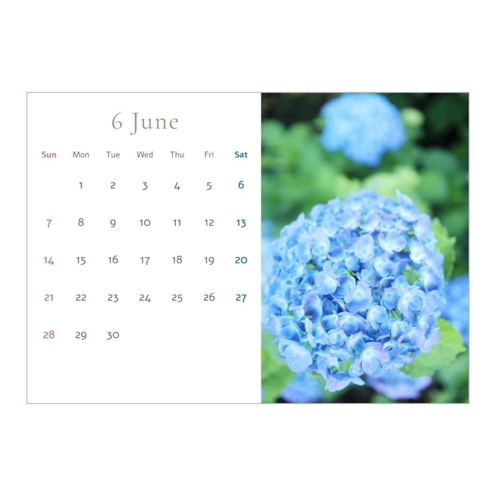 フラワーカレンダー Flower Calendar 2026.4–2027.3 4月始まり(A5・PDF)