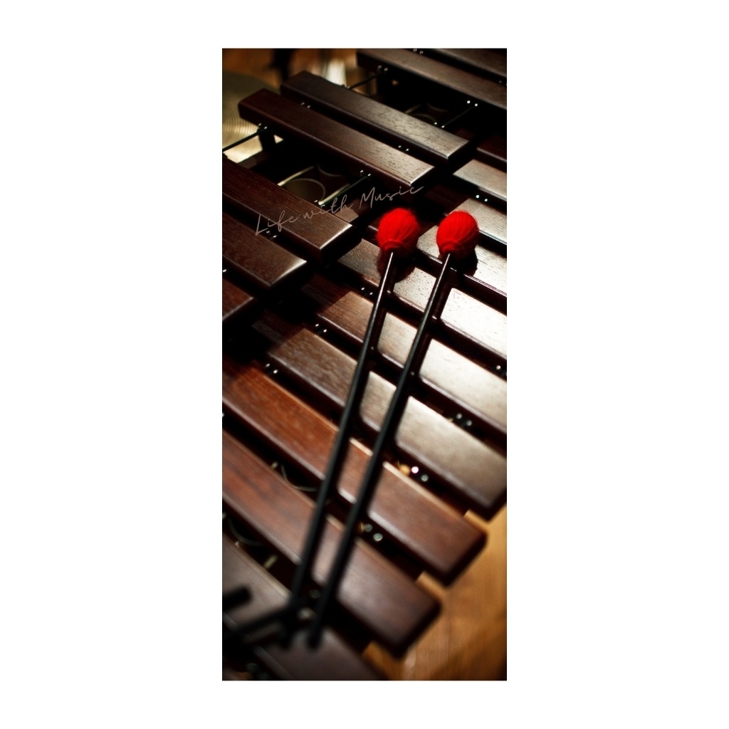 Life with Music – Percussion スマホ壁紙(1440×3200)3枚+ボーナス1枚