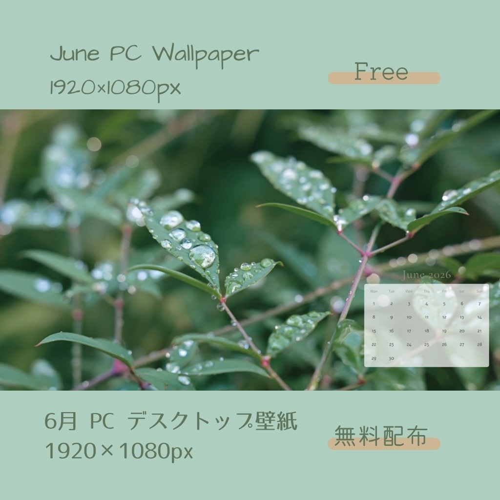 【 無料配布 】6月 PC デスクトップ壁紙 1920×1080px 【Free】
