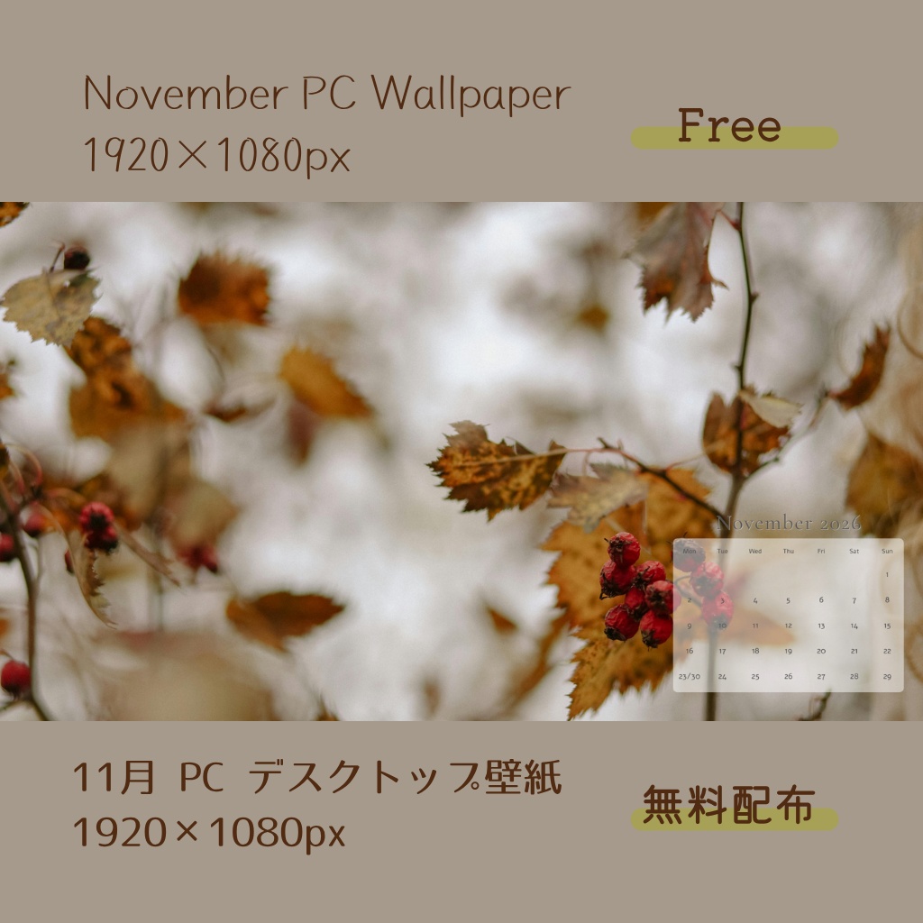 【 無料配布 】11月 PC デスクトップ壁紙 1920×1080px 【Free】