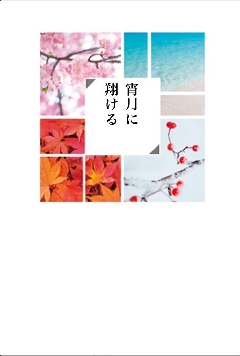 宵月に翔ける