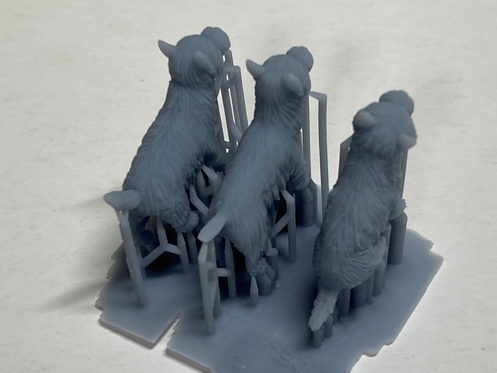 CMW-010 1/35 ウエストハイランドホワイトテリアセット