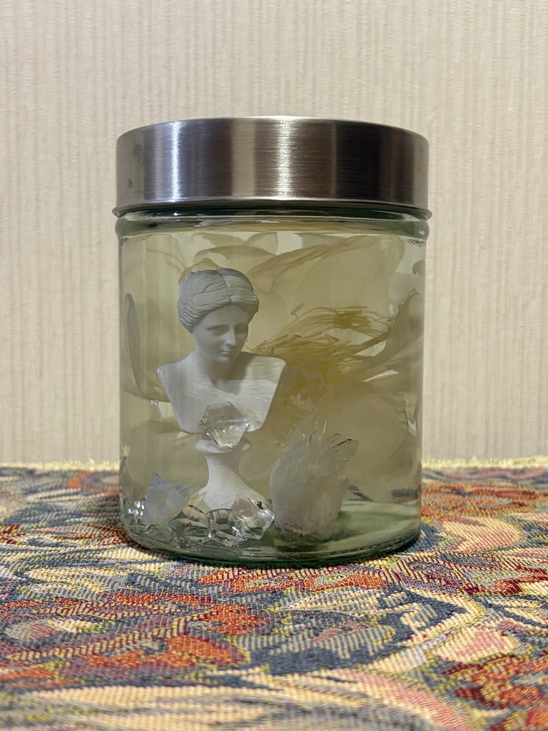 No.41:月下美人標本