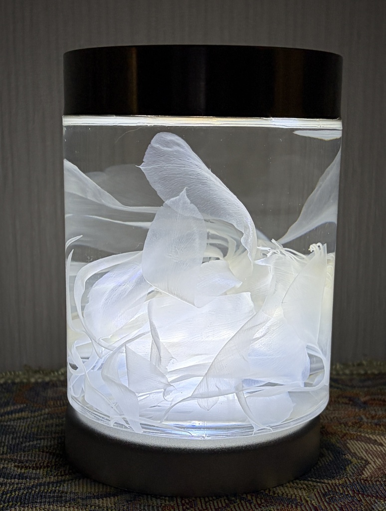 No.45:純花月下標本「白葬」