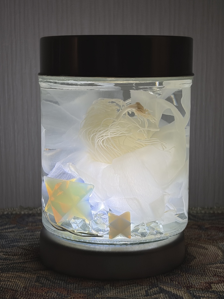 No.43:星屑の月下美人標本