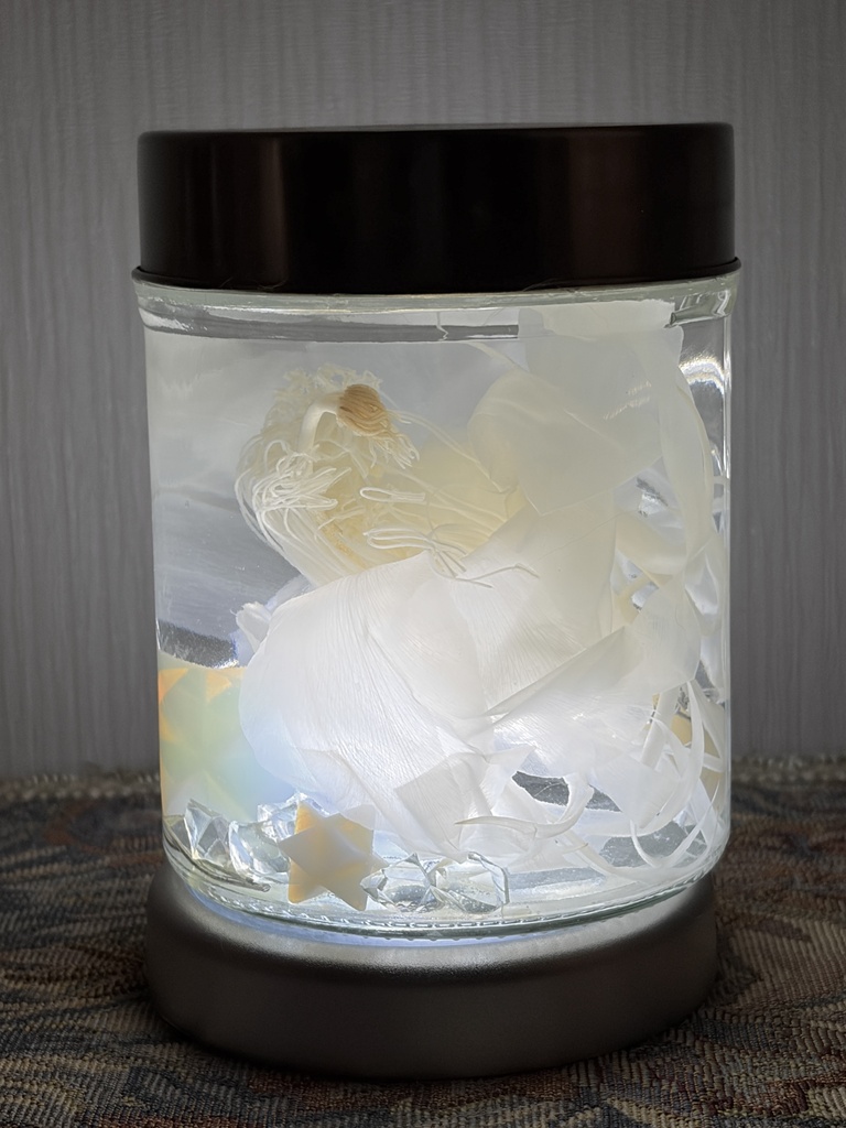 No.43:星屑の月下美人標本