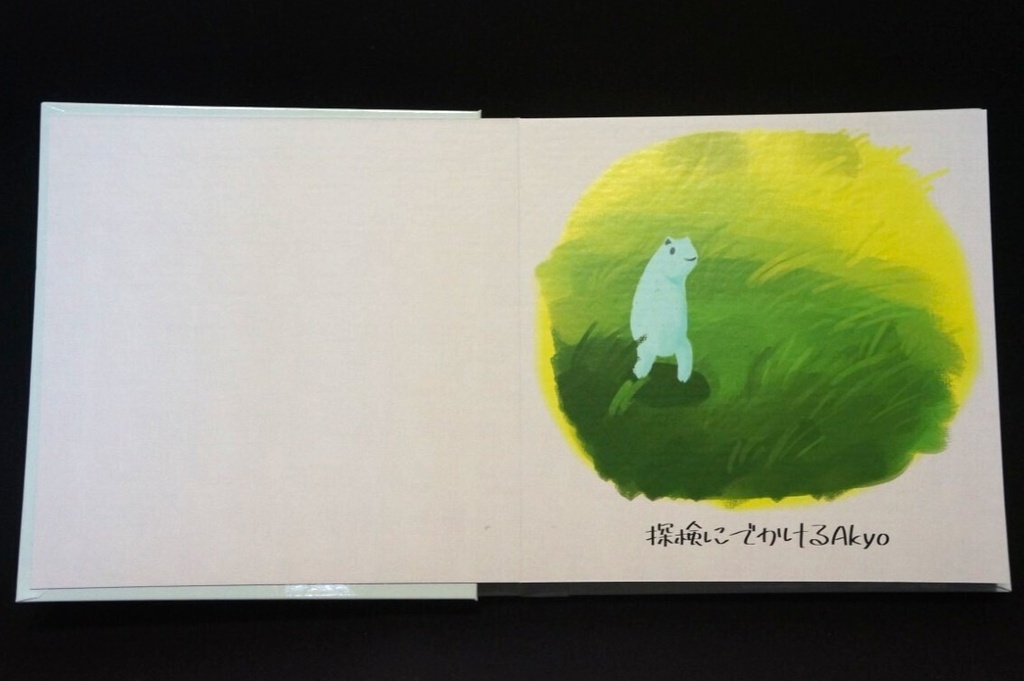 Akyoの探検