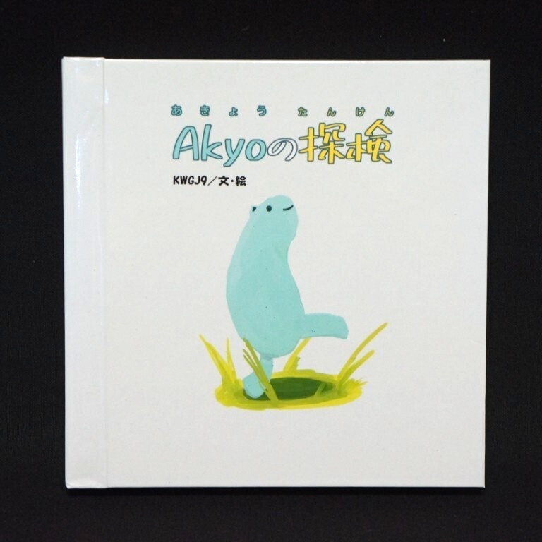 Akyoの探検