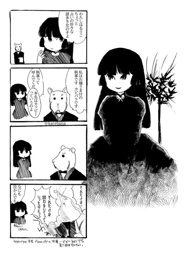 ゆめみのお花畑