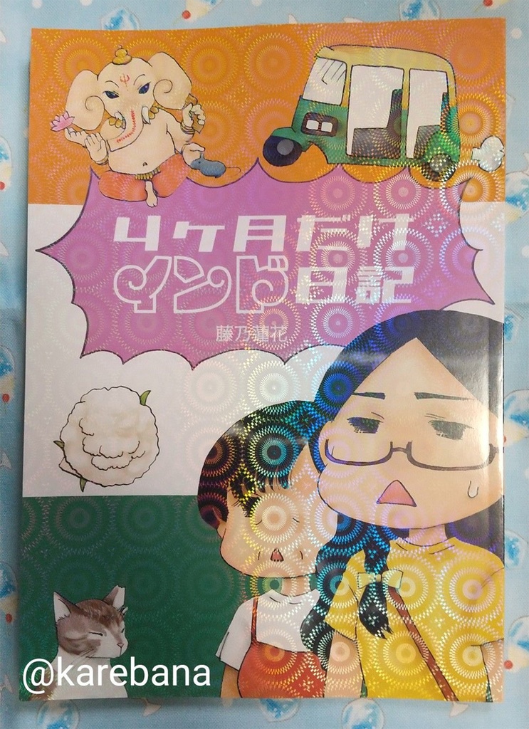 4ヶ月だけインド日記