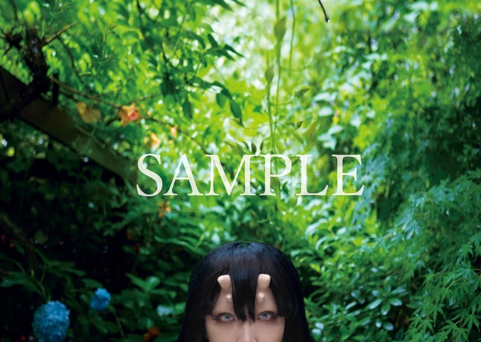 創作コスプレ写真集「About that Succubus」