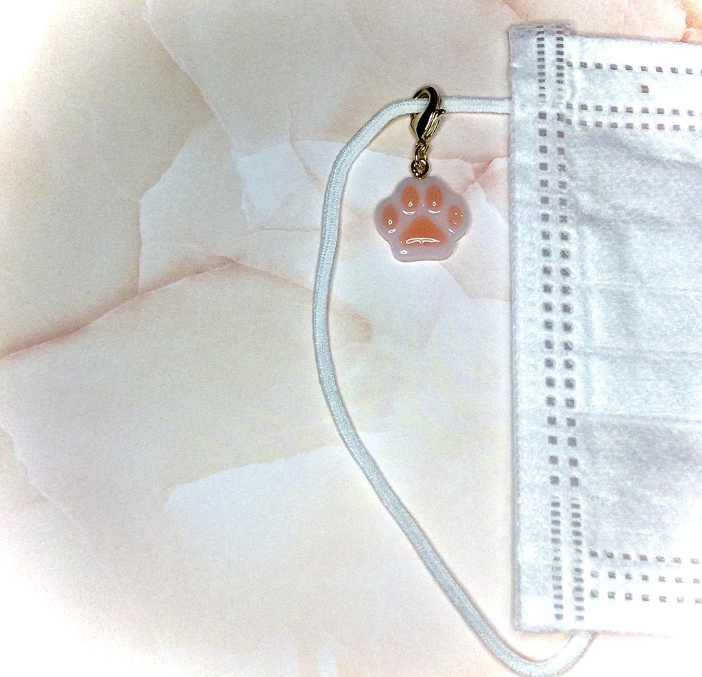 カラフルマスクチャーム