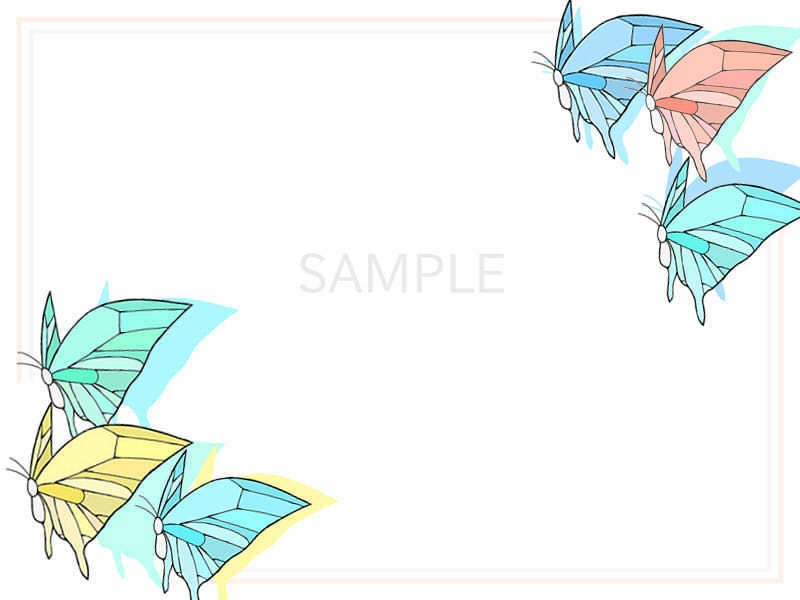 蝶 カード 4種セット