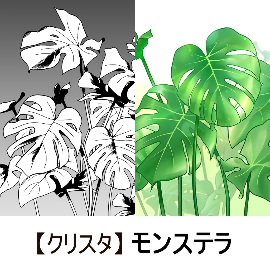 【クリスタ】草ブラシ1単品_モンステラ