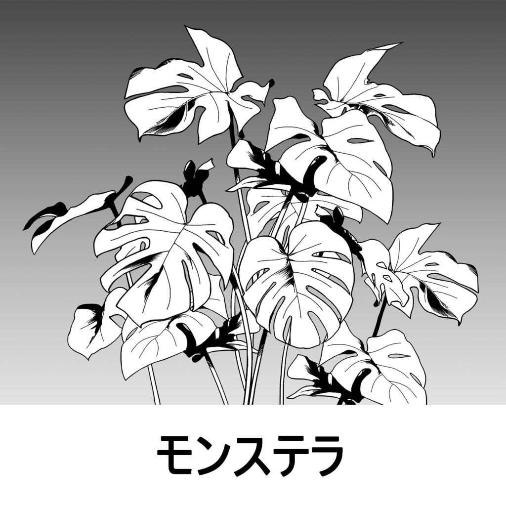 【クリスタ】草ブラシ1単品_モンステラ