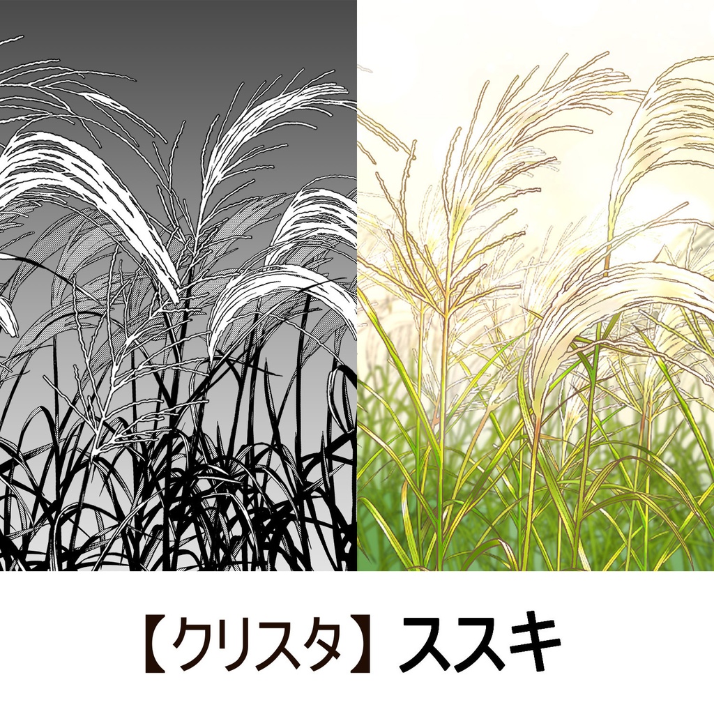 【クリスタ】草ブラシ１単品_ススキ