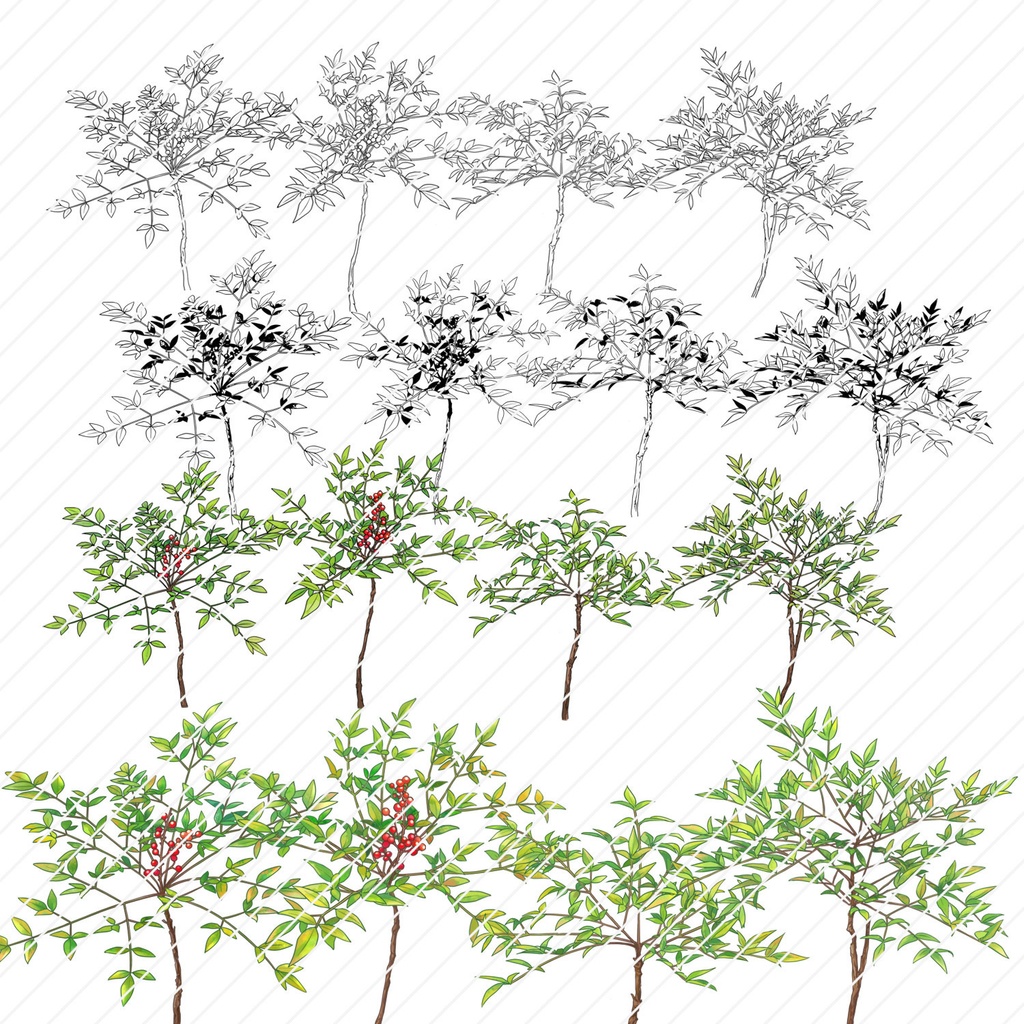 【クリスタ】草ブラシ1単品_南天