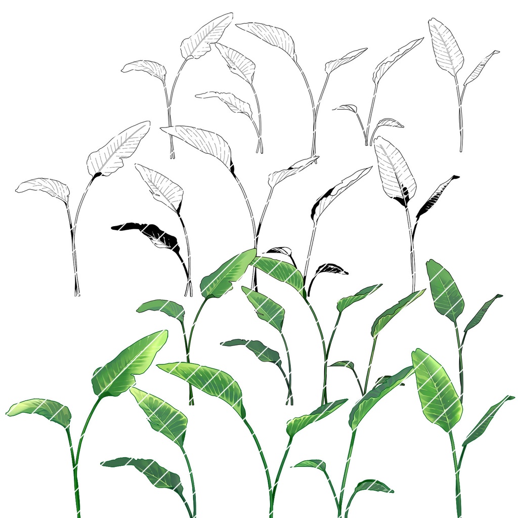 【クリスタ】草ブラシ2単品_ストレリチア