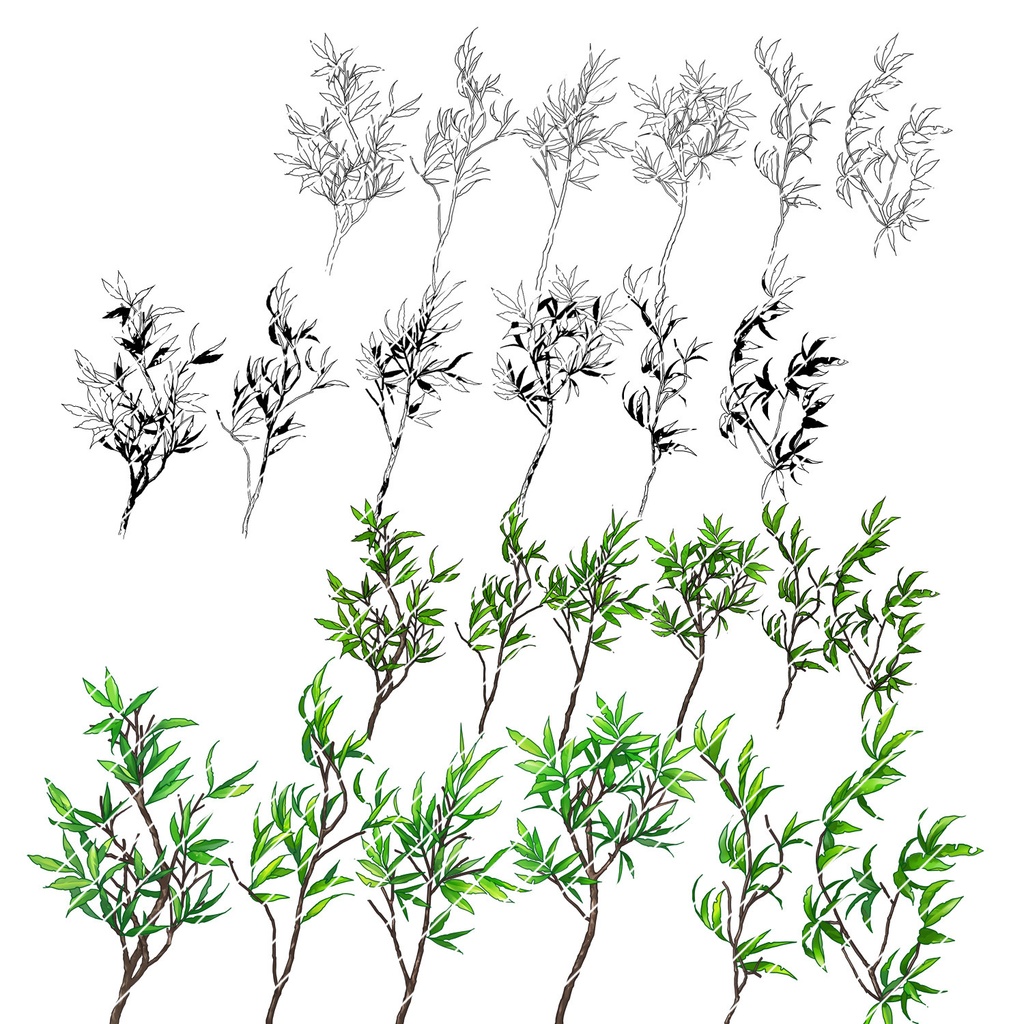 【クリスタ】草ブラシ2単品_コナラ