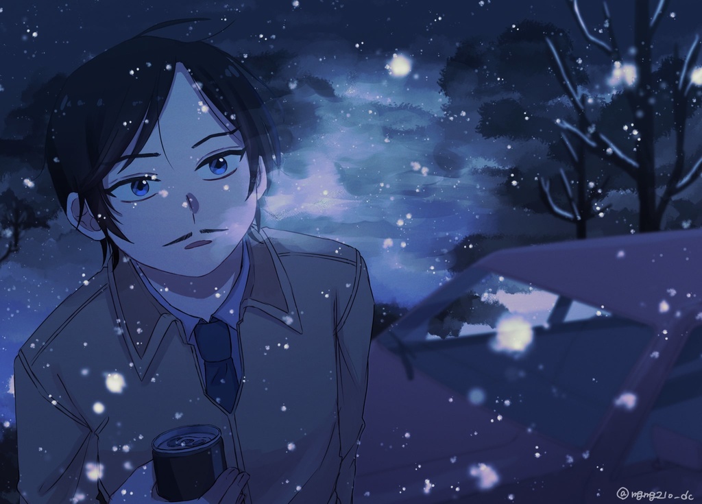 SNOWY DAYS