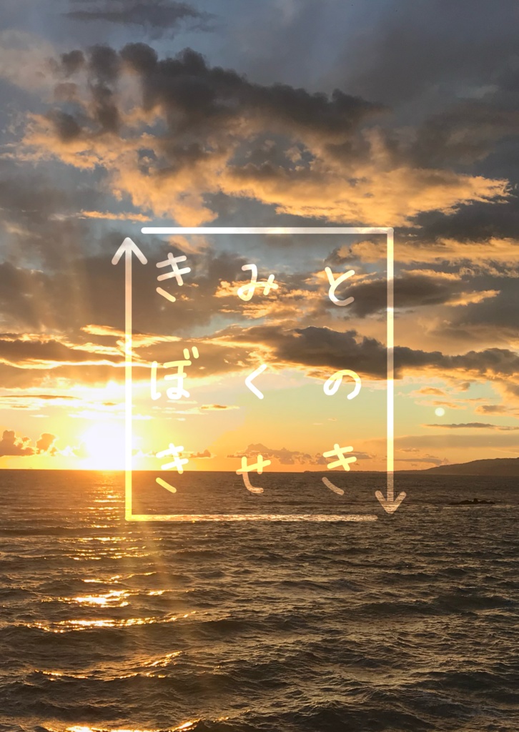 きみとぼくのきせき