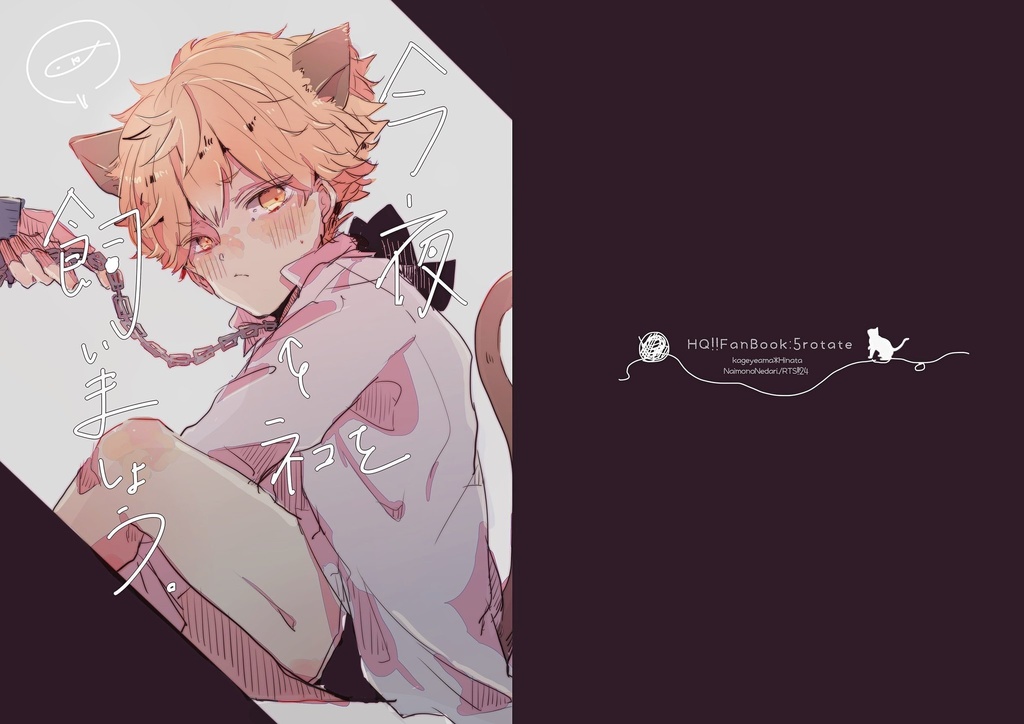 今夜、猫を飼いましょう。