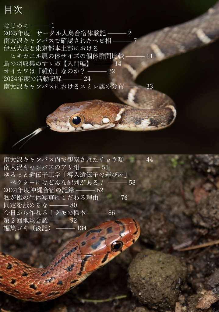 よみもの!サークル東京 第1号