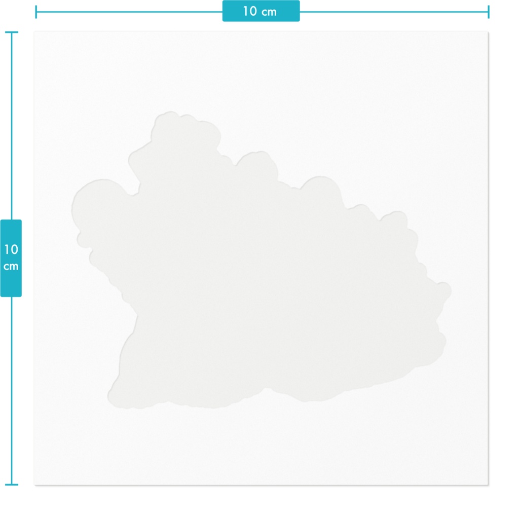 背中に鉱物ステッカー アマラントオオサンショウウオ