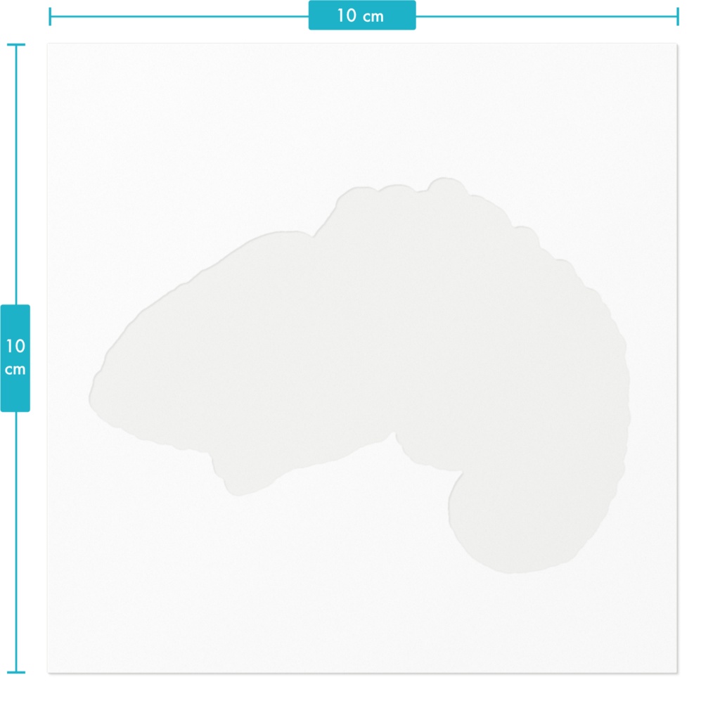 背中に鉱物ステッカー 電気石カメレオン