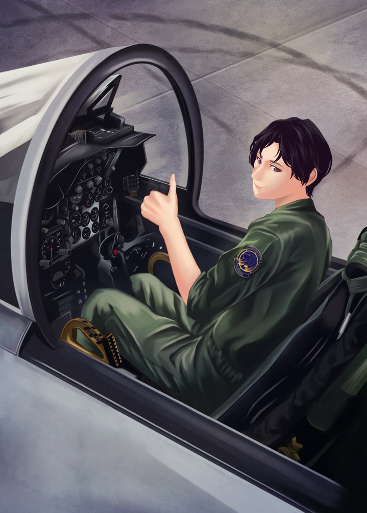 VELOCITY VECTOR -ACE COMBAT SERIES FAN ART COLLECTION-