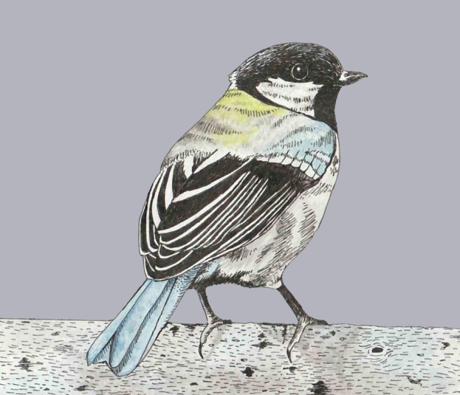 ピンバッジ(シジュウカラ)