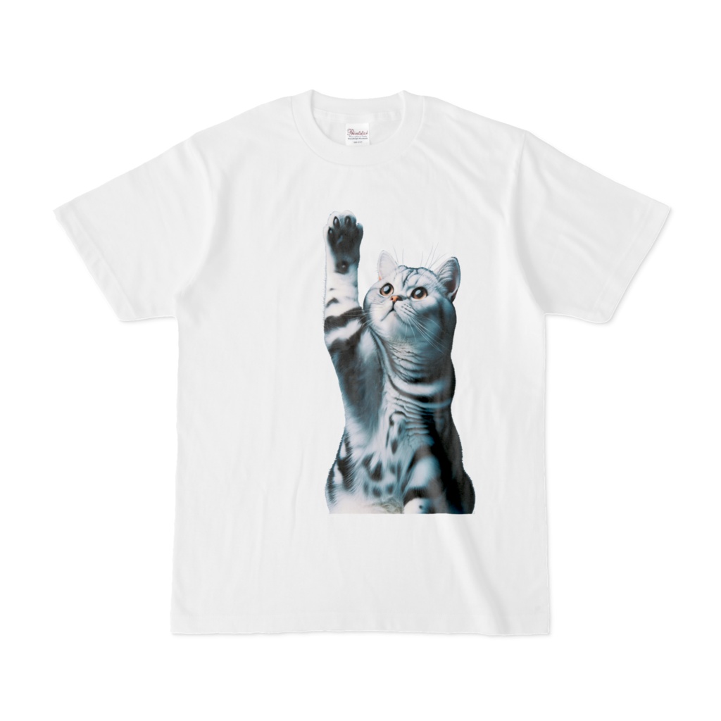 アメショーA　original design
