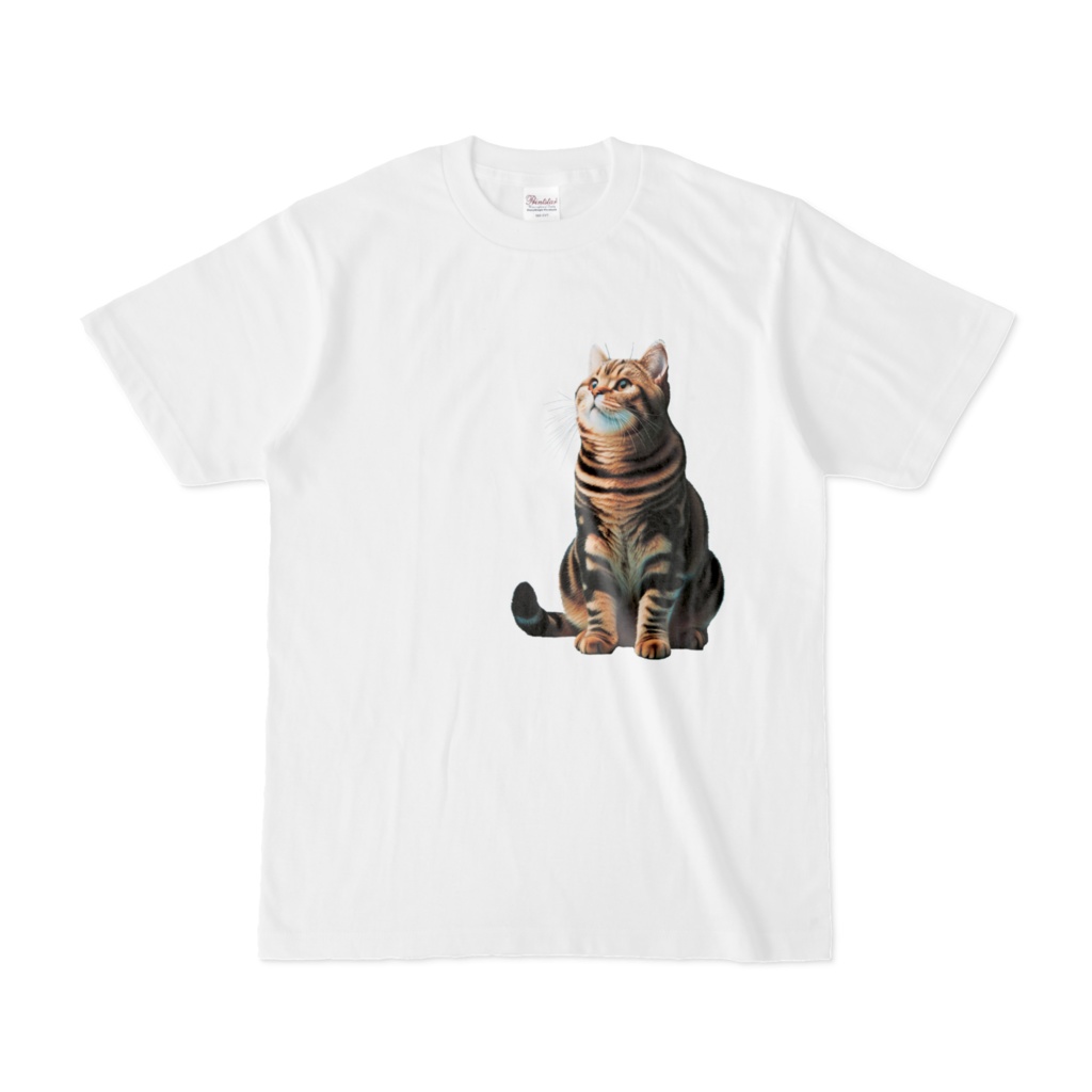 茶トラB　original design