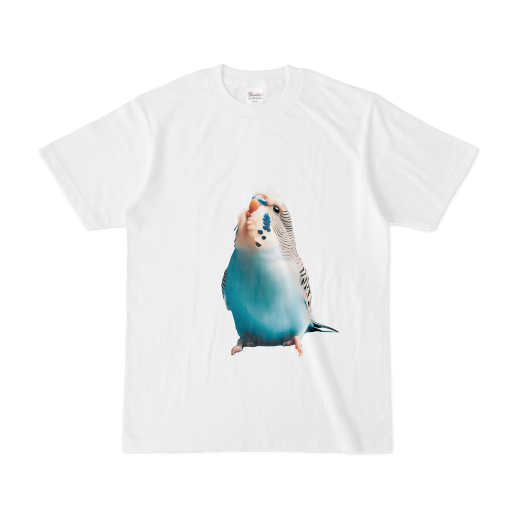 セキセイインコA 大 original design