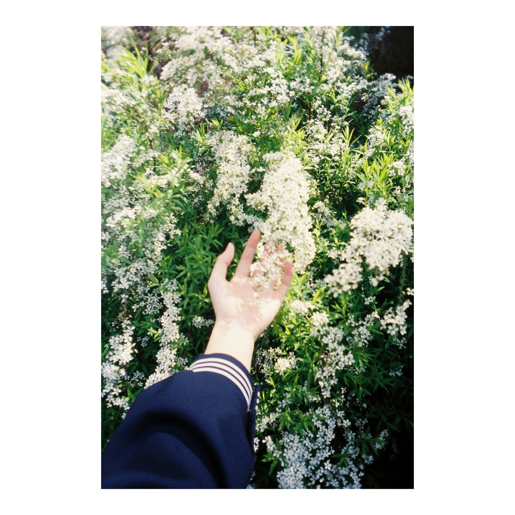 201906/お手紙