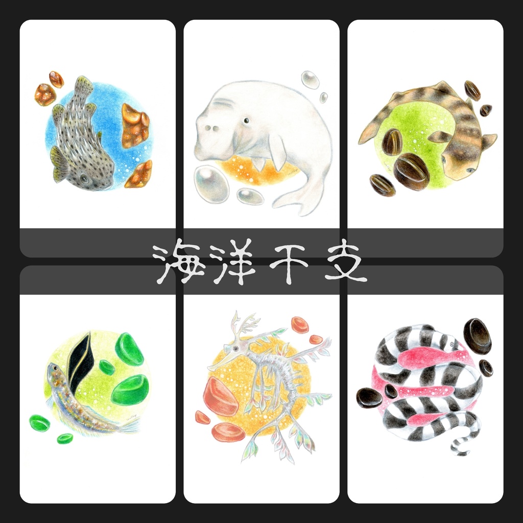 海洋干支