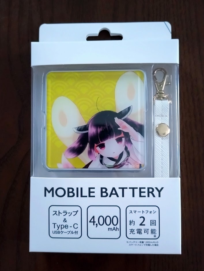 ★限定1セット★ 東北きりたんプレミアムお得セット