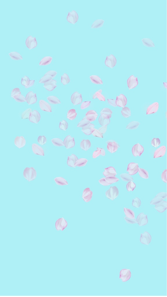 春色の空と桜の花びら　スマホ壁紙