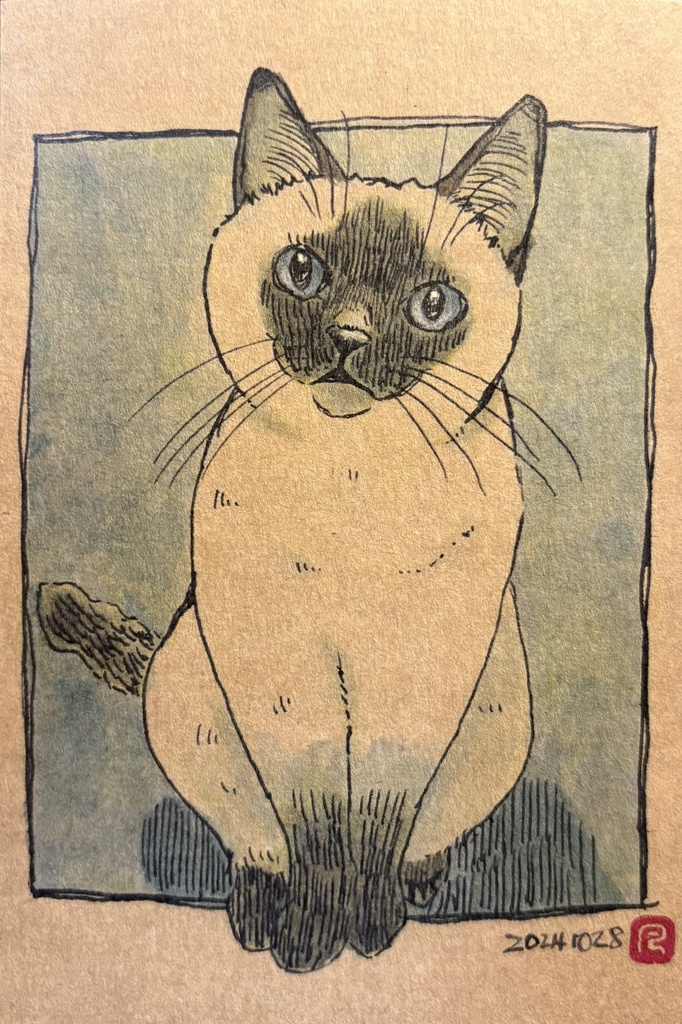 5枚専用分