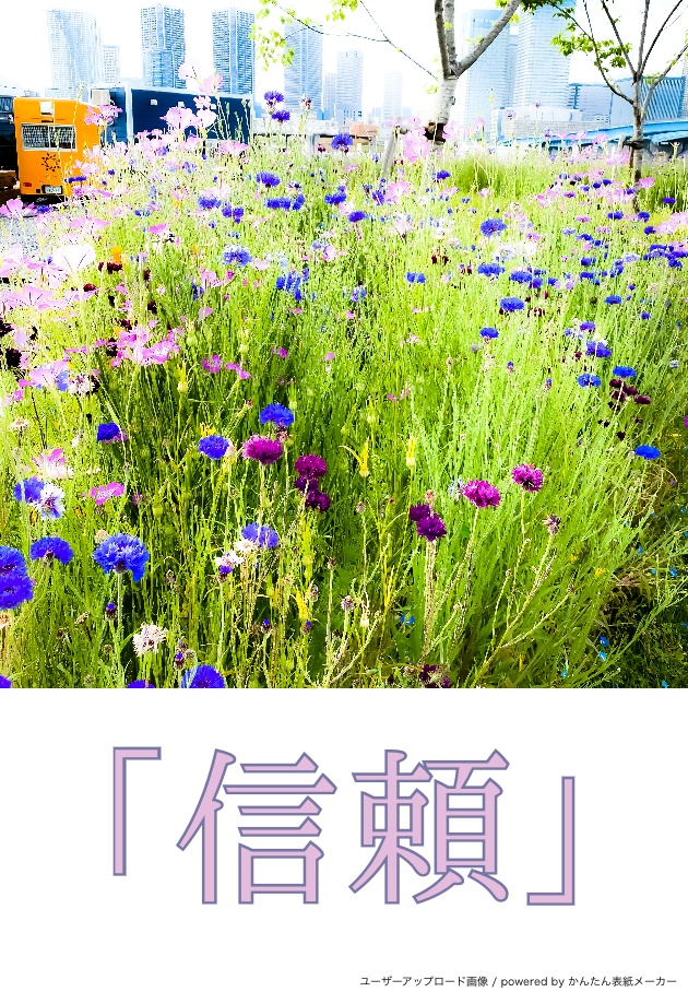 展示:FLOWER