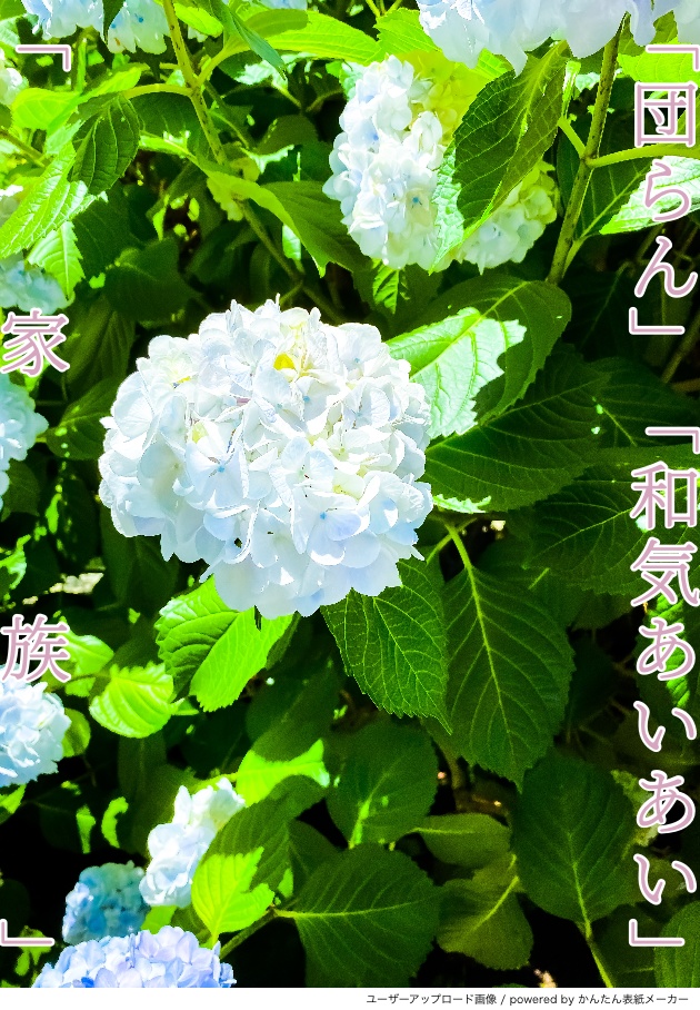 展示:FLOWER