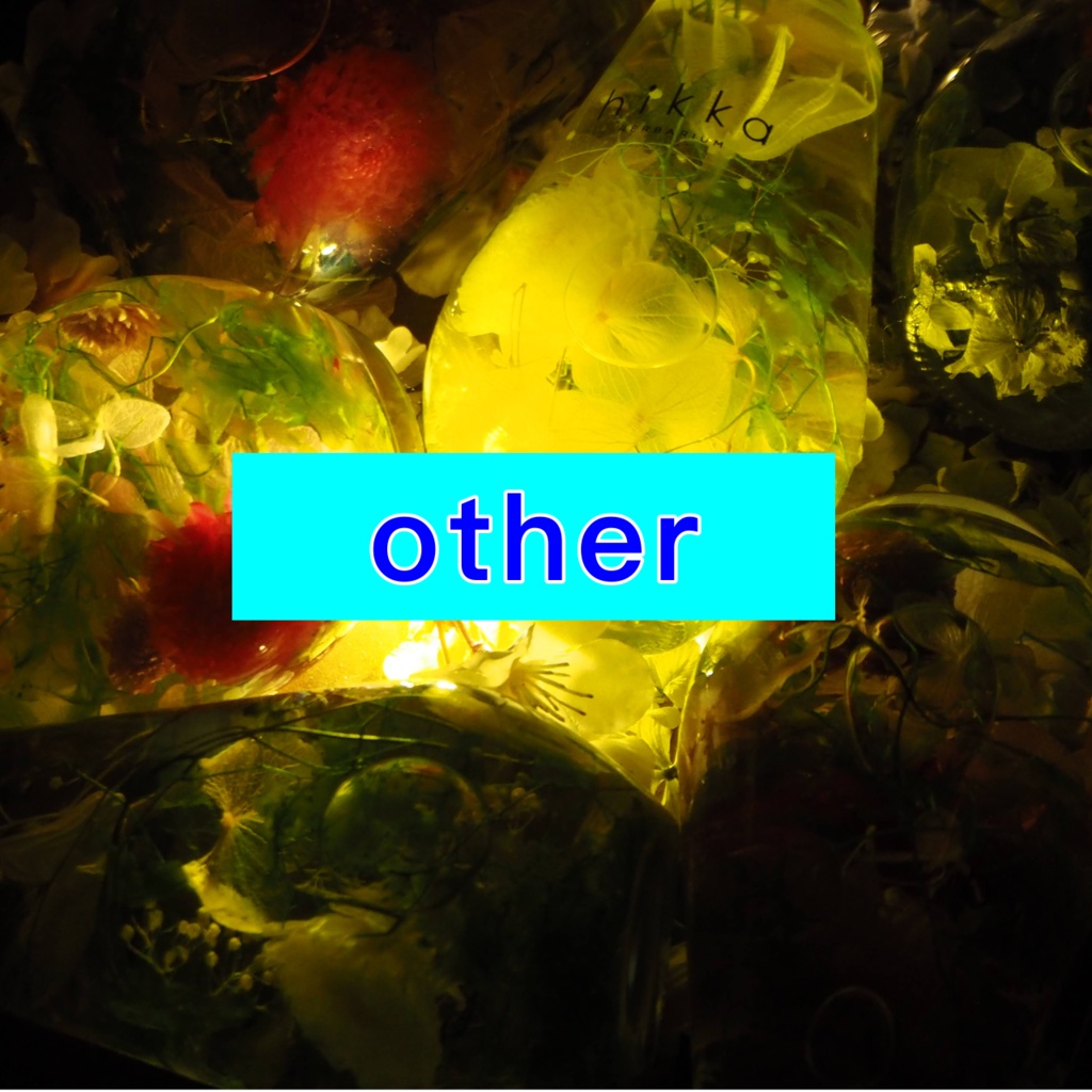 展示：OTHER