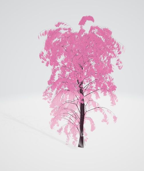 柳桜単体