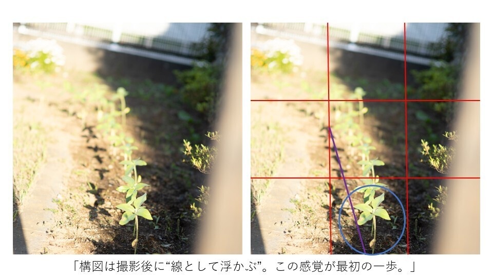 AI勉強術で学ぶ写真構図|“構図の罠”を抜け出す撮影後学習の教科書