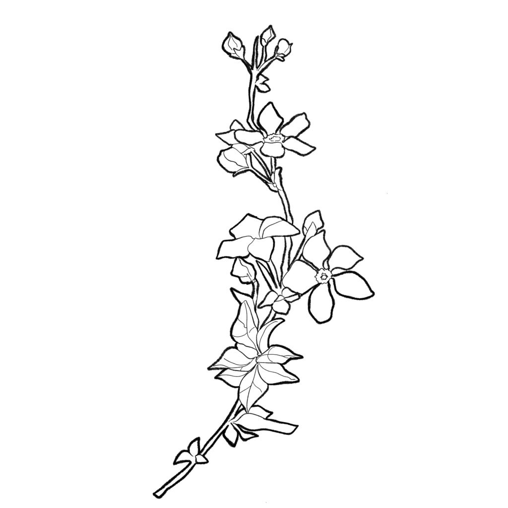 【イラスト素材】花(白塗り)