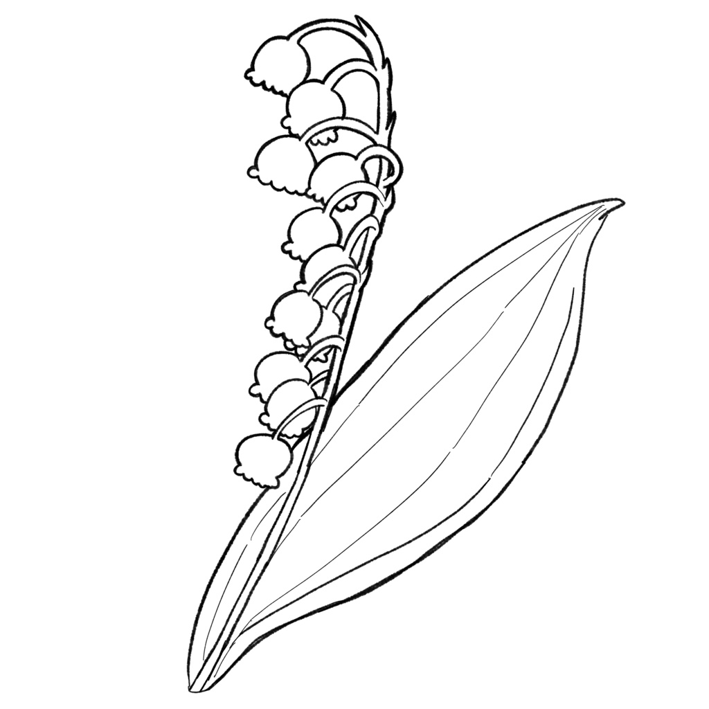 【イラスト素材】花(白塗り)