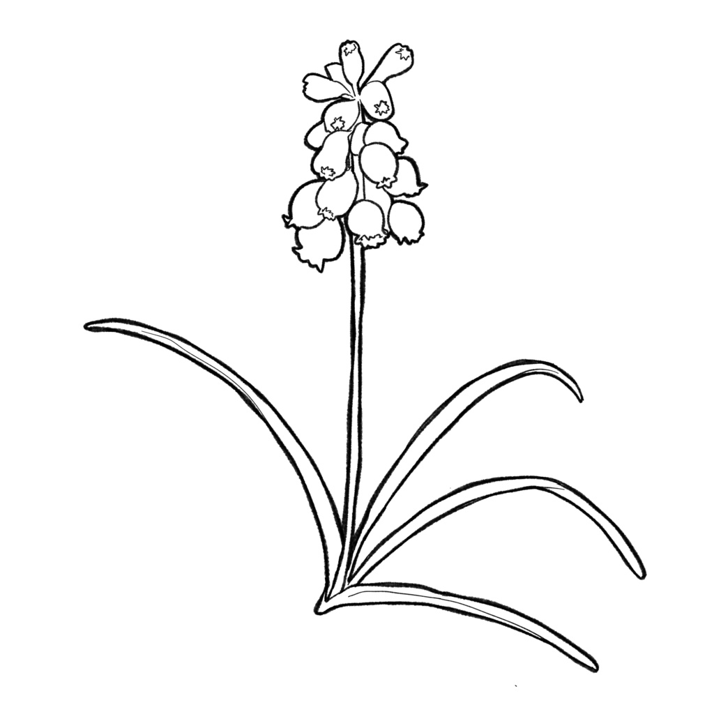 【イラスト素材】花(白塗り)