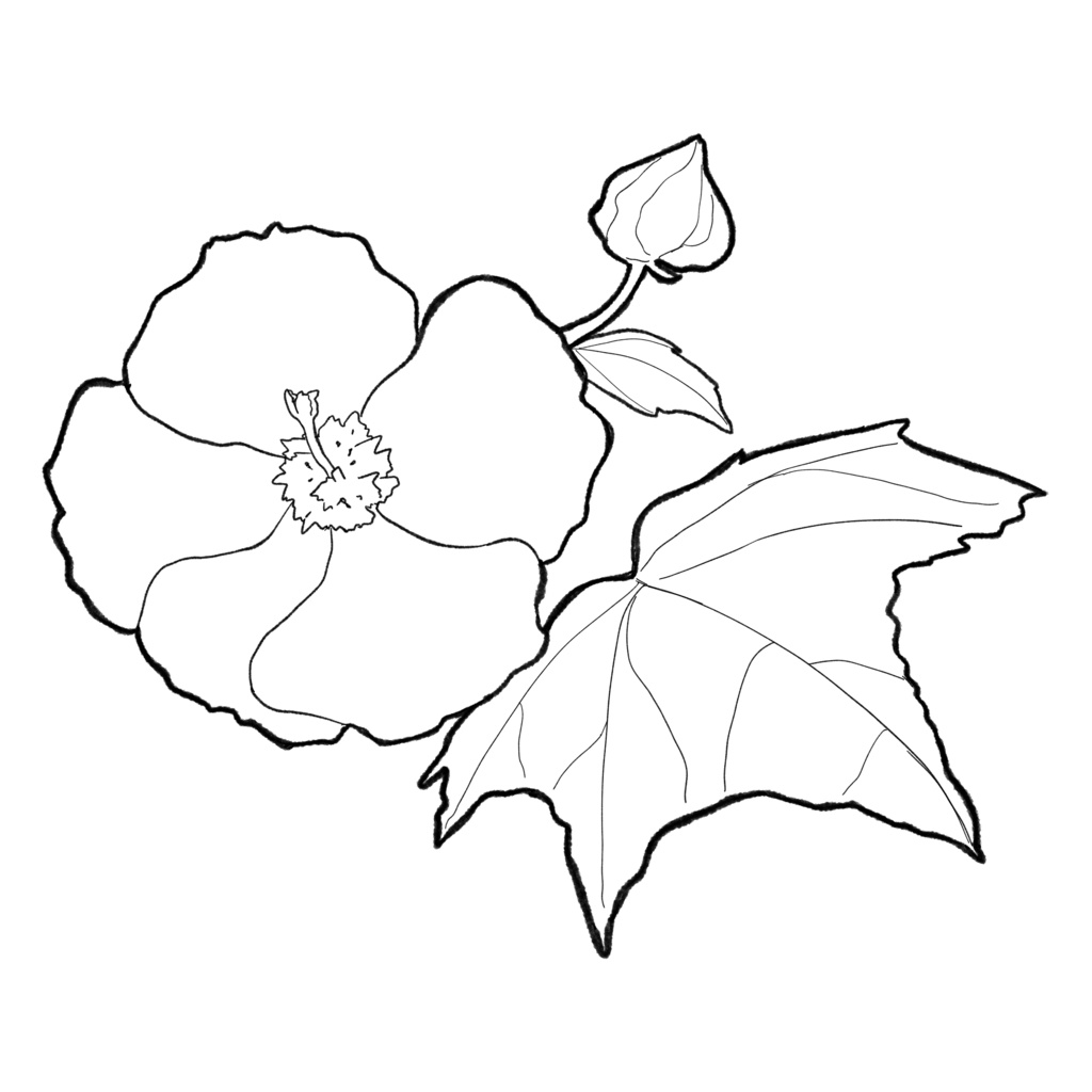 【イラスト素材】花(白塗り)