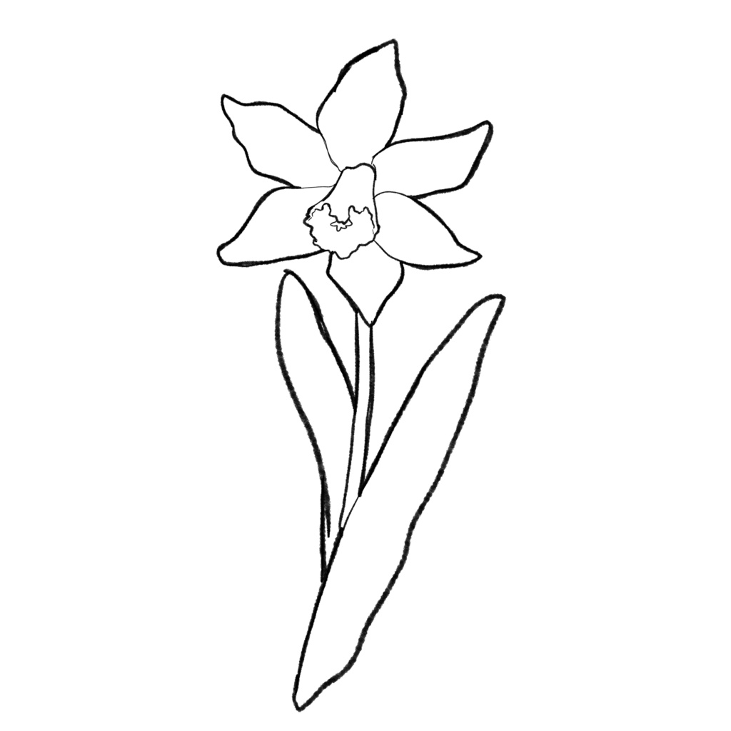 【イラスト素材】花(白塗り)