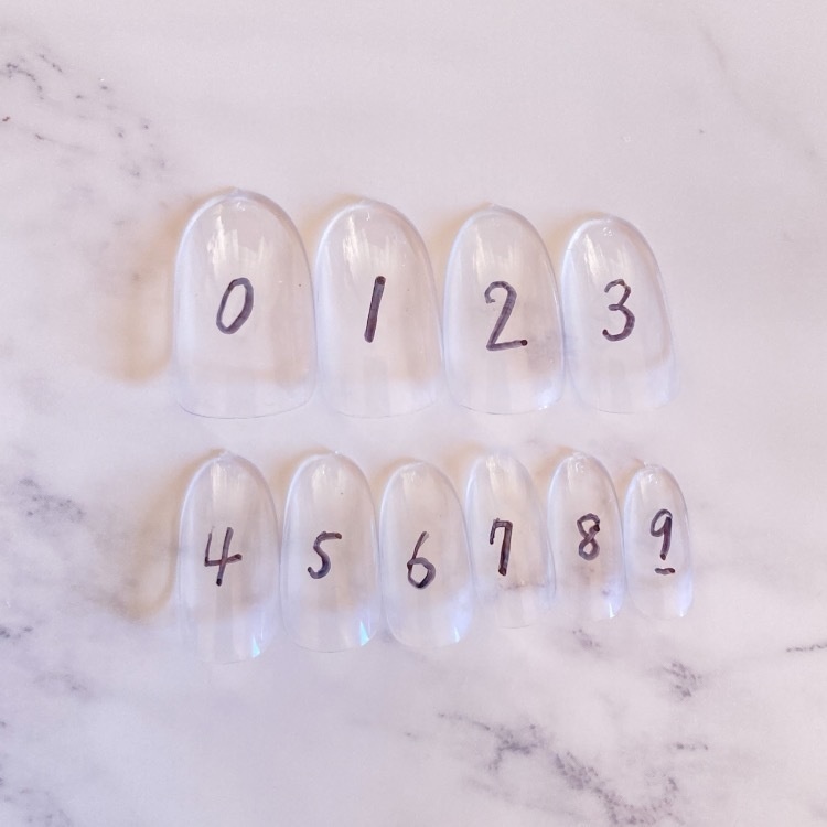 【 サイズ確認用 ネイルチップ1種類 】